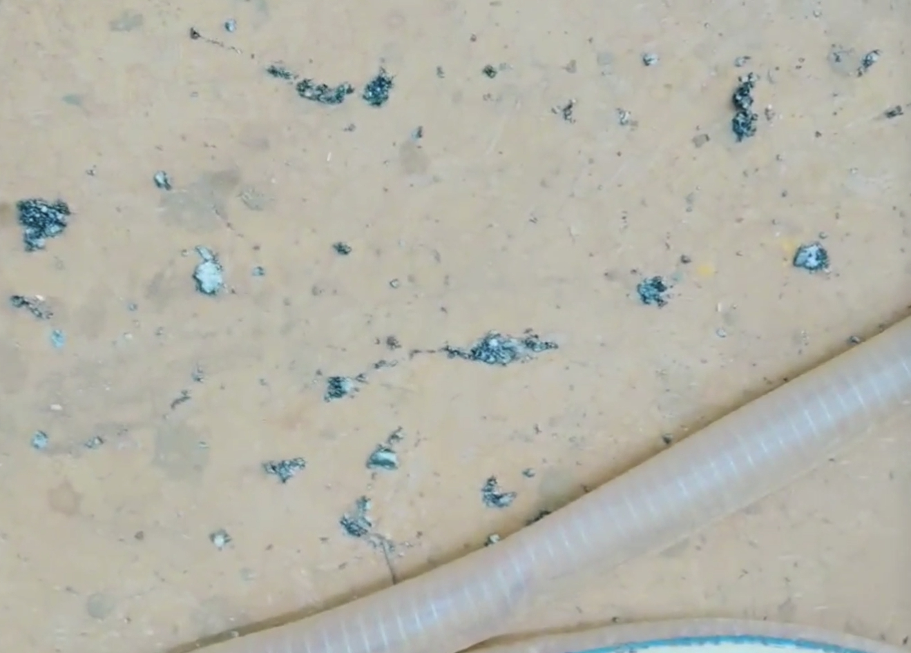 1774598635912144.png 267433951.png